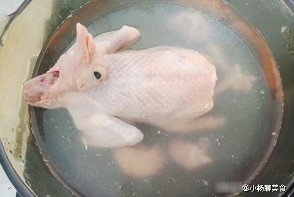 滋补|一鸽胜九鸡，鸽子汤这样炖才最滋补，汤鲜味美，营养还翻倍，特香