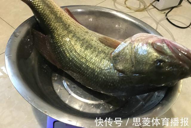 美国黑鲈入侵武汉东湖,原因竟是有人故意放生?钓鱼人:太多了