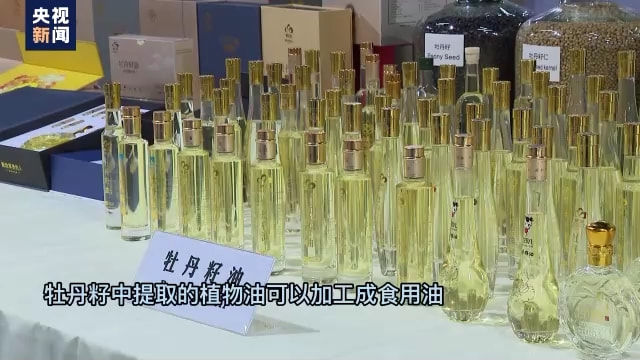 牡丹籽$山东菏泽：用好牡丹优势发展多样化“花经济”