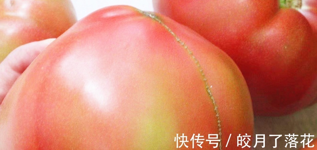 没人告诉你“激素西红柿”长啥样,今天和大家说说,记得告诉家人!