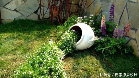 光照|养花新手需要知道的事:你的花为什么会死