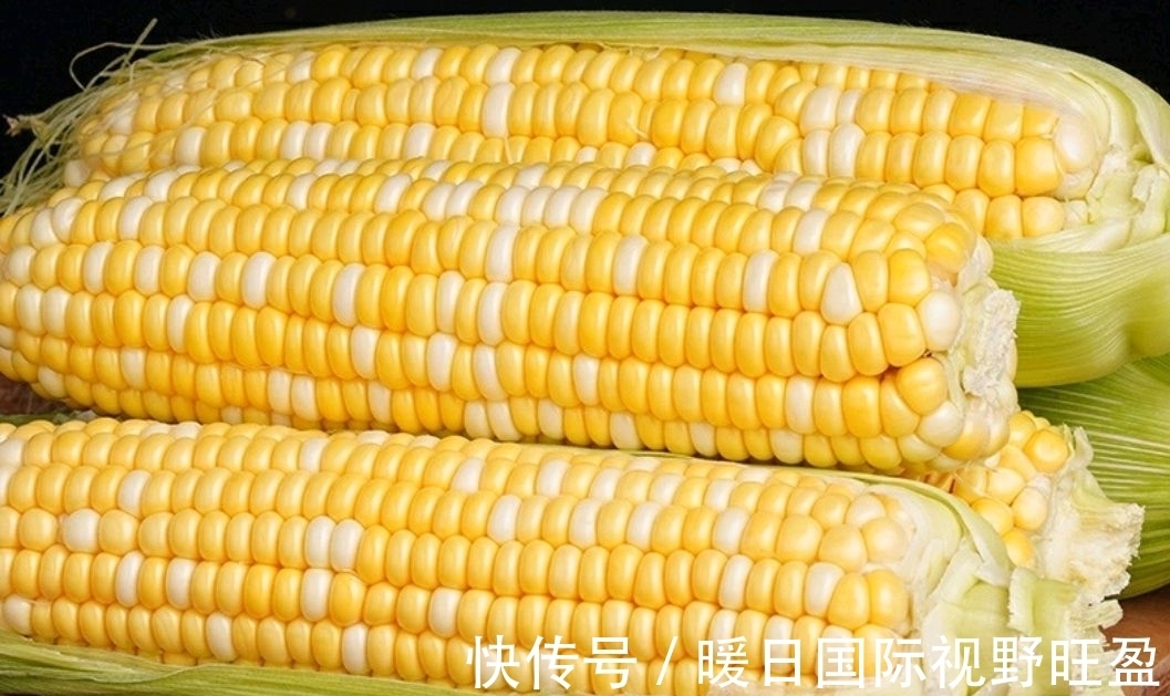 鱼层|夏季是垂钓草鱼的黄金季节,那么我们该如何去钓呢?