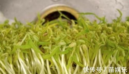 绿豆芽|体内湿气重的人,放开肚皮吃6物,帮你祛湿排毒,体重慢慢降