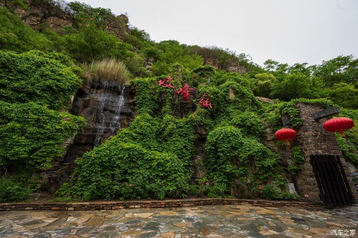 粉红|【郊野行摄】春风拂面，黄栌花开---雨中游京西幽岚山