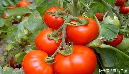 有机酸|想长寿的人,要坚持吃三种食物,补镁补钙,增强体质,好处多多