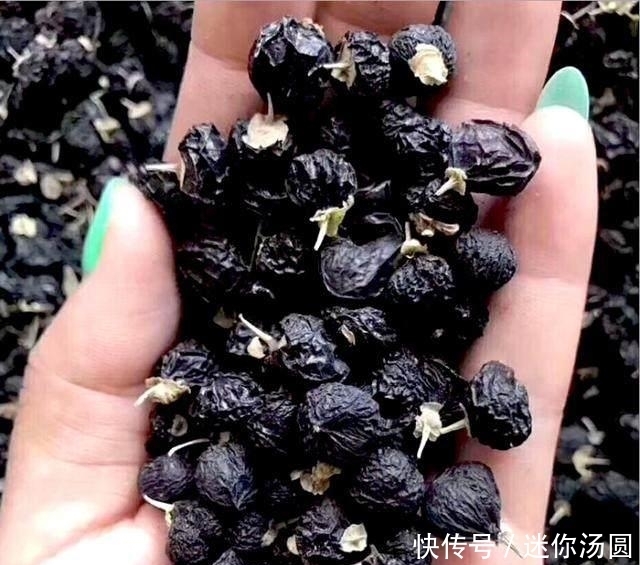 蒲公英|糖尿病不要慌，早晚吃两口天然“胰岛素”，血糖稳定不上升