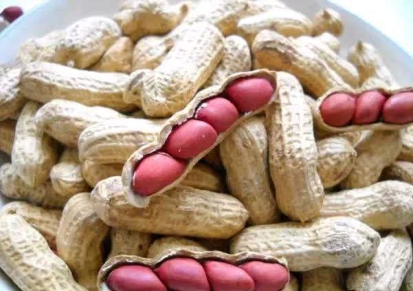 一日三餐|吃花生对血管是有益还是有害？想血管不堵塞，2种素食别往嘴里送