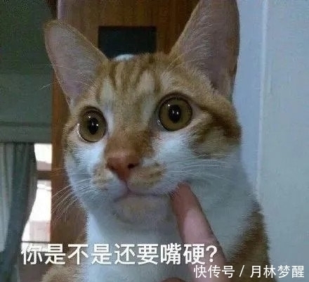 |十条笑话:姐夫觉得自己很牛了,姐姐却觉得自己可能是嫁了个傻瓜