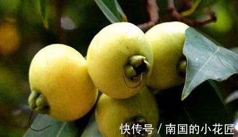 滋补|聪明女性爱吃的食物,排毒护肤,滋补肝肾,补血益气,好处多多