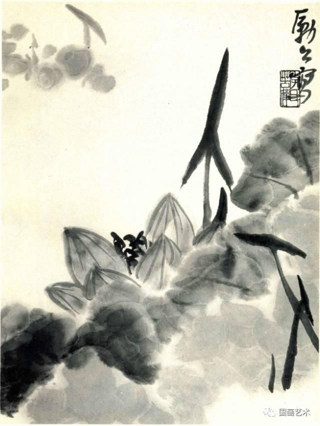  画稿|李苦禅教学画稿