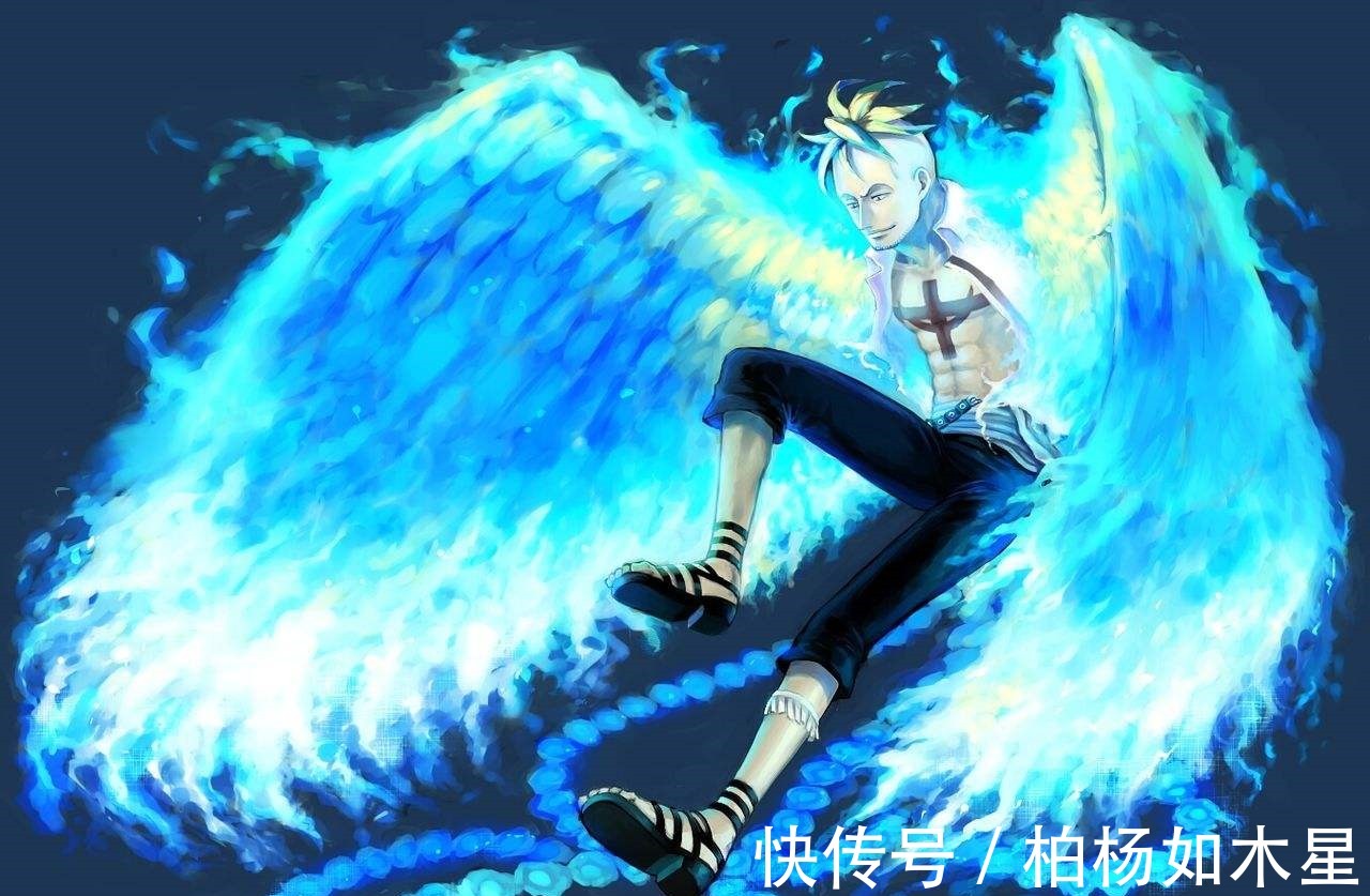 白胡子|海贼王马尔科继承白胡子的意志加入草帽团,不死鸟大显神威