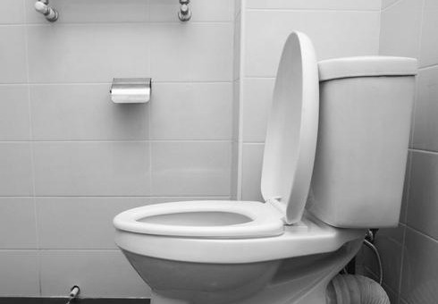 分解力|美国女厕所马桶前方有个“缺口”，国内却没有，是中外有别吗