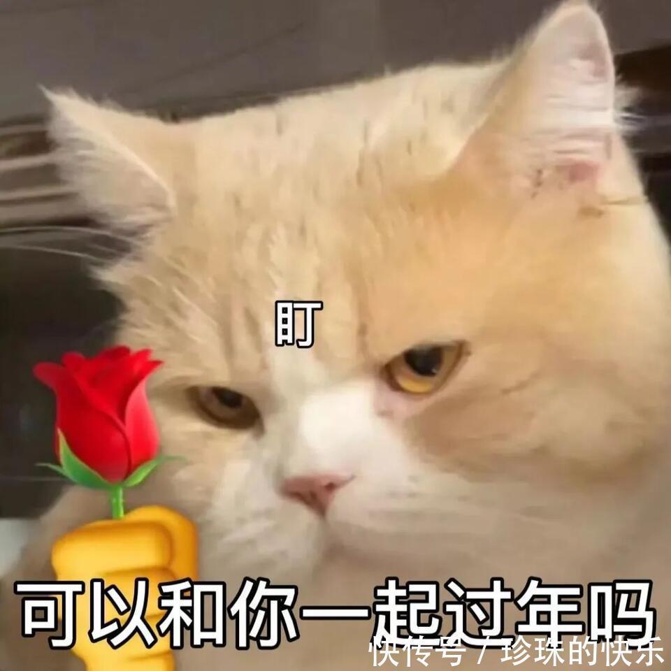 拜年|必存!新年拜年表情包丨第310期热门表情包