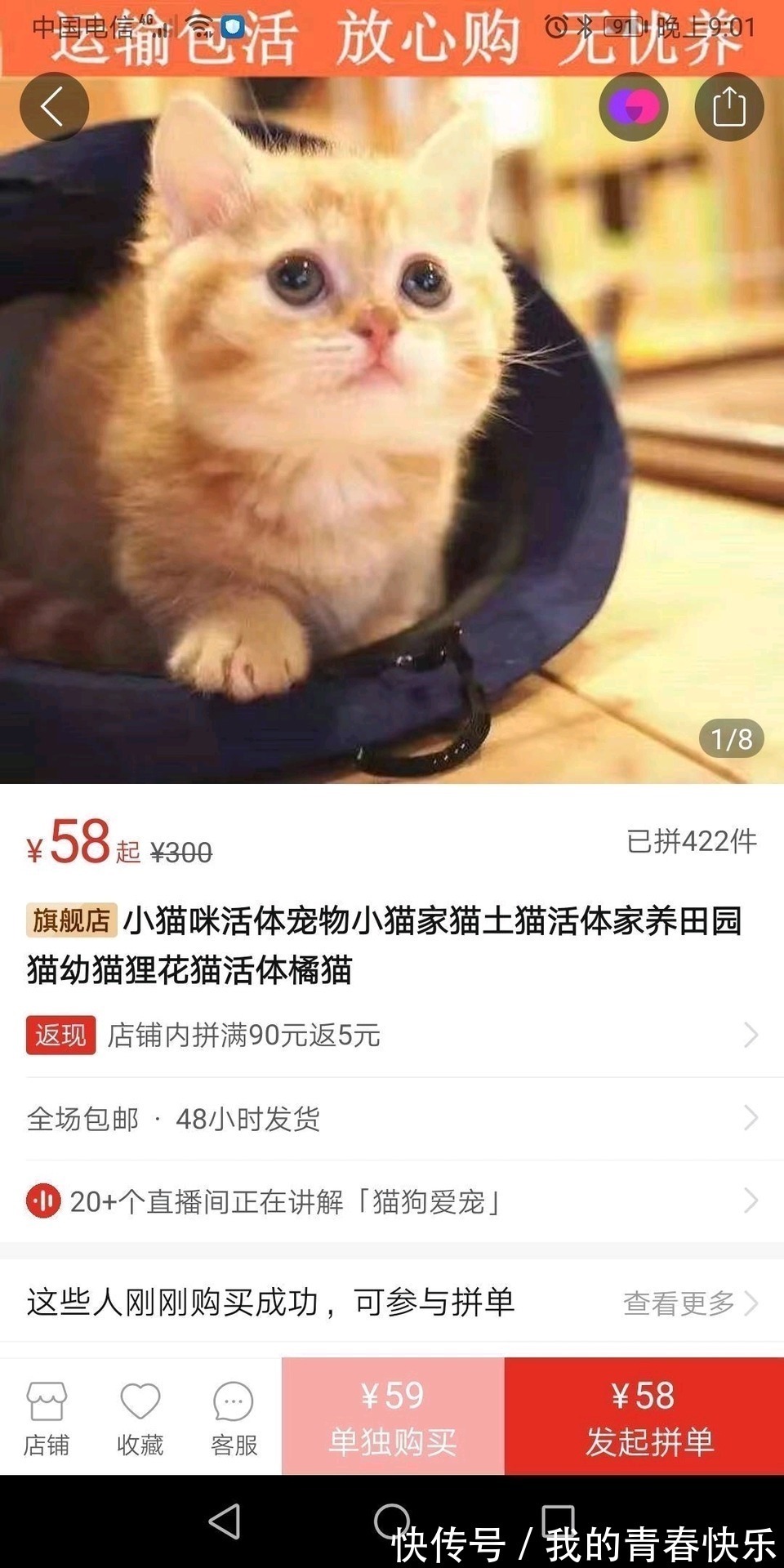 在网上刷到的沙雕玩意
