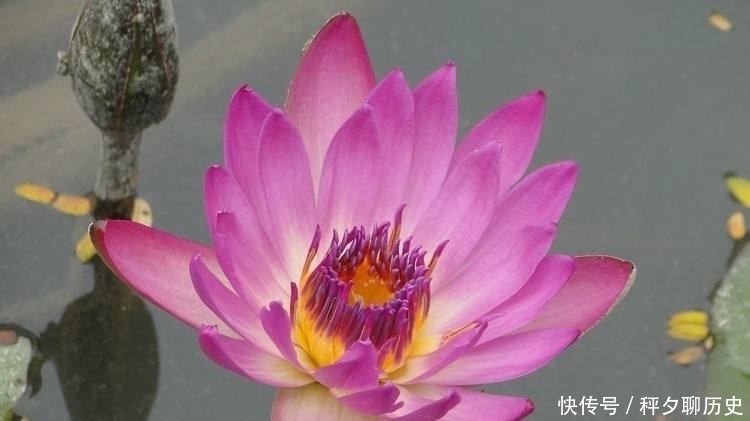 爷爷|爷爷的告诫:人到五十,牢记这四句忠告,否则灾祸将至!