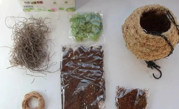 室内绿植种花不用盆,揉一个小球吊起来就让家里美翻