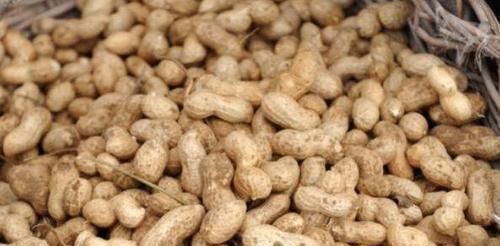 花生|花生和“它”一起吃，血管干净血栓绕道走，比“阿司匹林”还管用