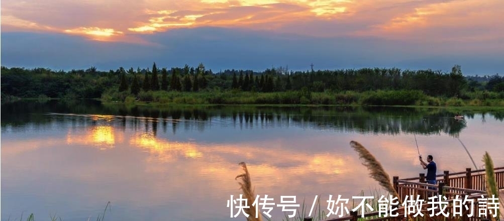 成都|成都7大网红公园：夏天色彩缤纷，不要门票！