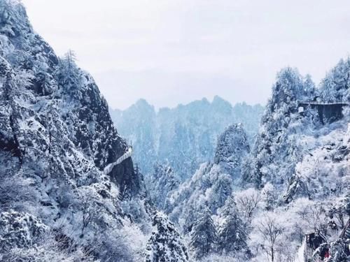 雾凇|点赞破百万的世界级雪景！雾凇云海，仿佛“误入天宫”，这里早该火了！