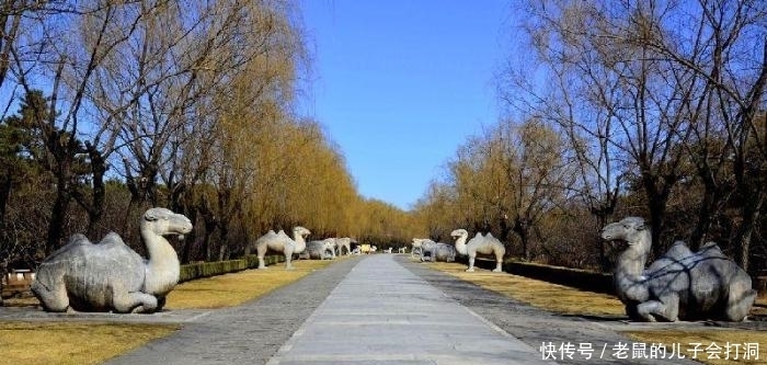 留下|朱棣，大明江山何时会亡？高僧留下4字预言，200年后字字应验