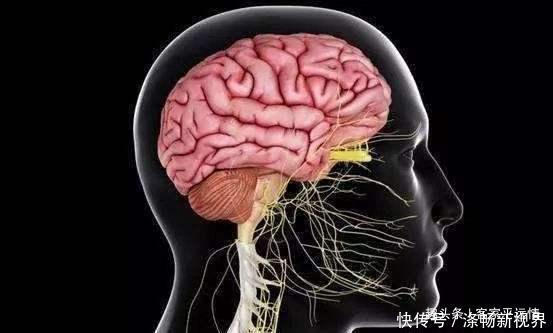 寿命长不靠多睡觉，也不靠多走路，而是坚持这3件事，健康又长寿