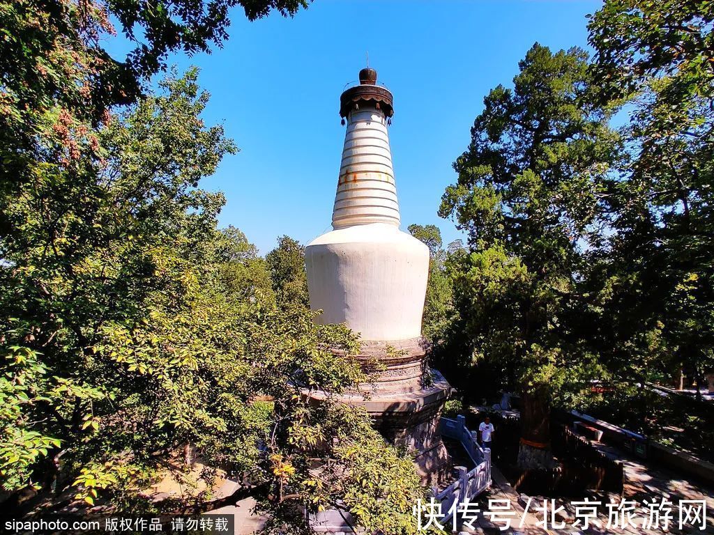 朱瞻墉|春风里听鸽哨，晴空下望白塔，京城专属“浪漫”！