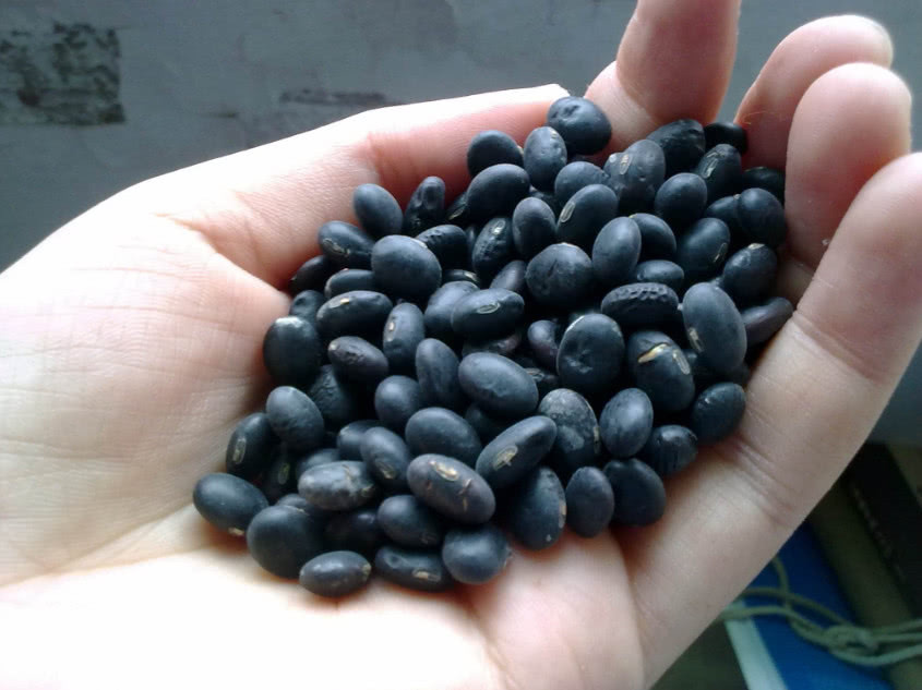 对症治疗|前列腺炎的天然“克星”，经常吃点，杀菌消炎，帮你找回男人尊严