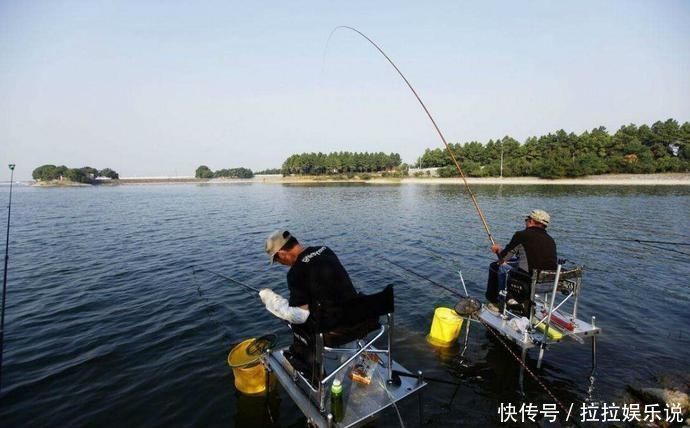 玉米粒|夏天水库钓鲤鱼，鱼饵这么搭配，轻松上鱼几十斤