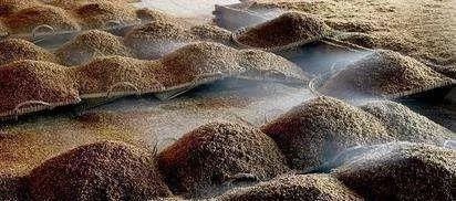 用于|二锅头就是二曲酒白酒喝了这么多年,别再误会曲是什么了