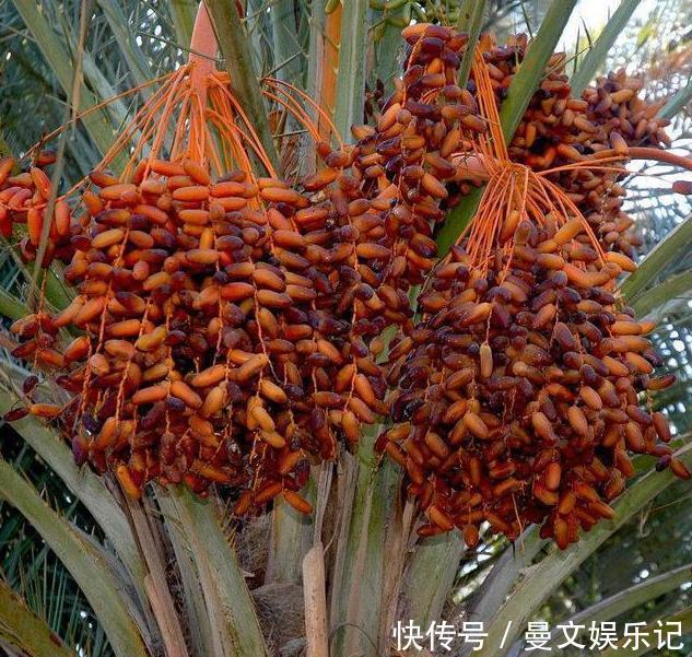 建议中老年人多吃下面这些食物,价格便宜又营