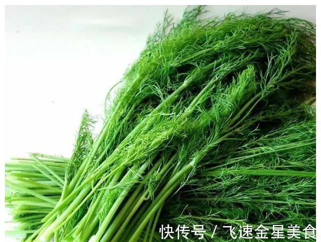 茴香|入冬后记得给孩子吃7种绿叶菜，维生素K含量高，价格也不贵！