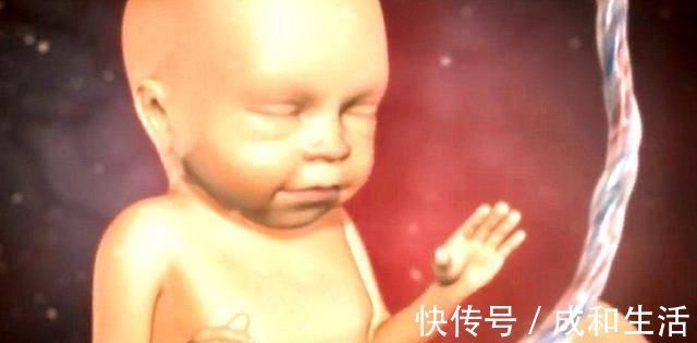 胎儿|孕期吃这4种“大鱼大肉”,营养基本都会到胎儿身上,你吃对了吗