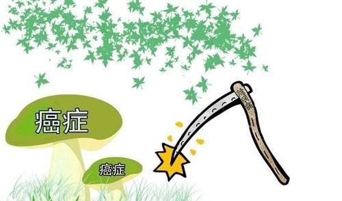 化疗|患癌后化疗有用吗？为何有些人化疗后身体更差？或和几个原因有关