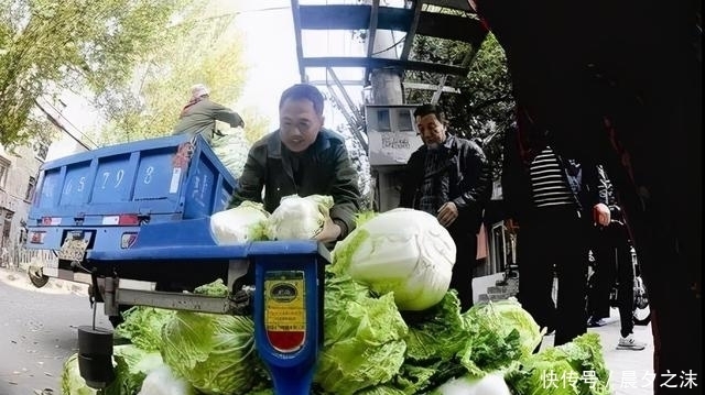 目瞪口呆|入冬了,听说东北人开始论车买菜了,南方人看得目瞪口呆