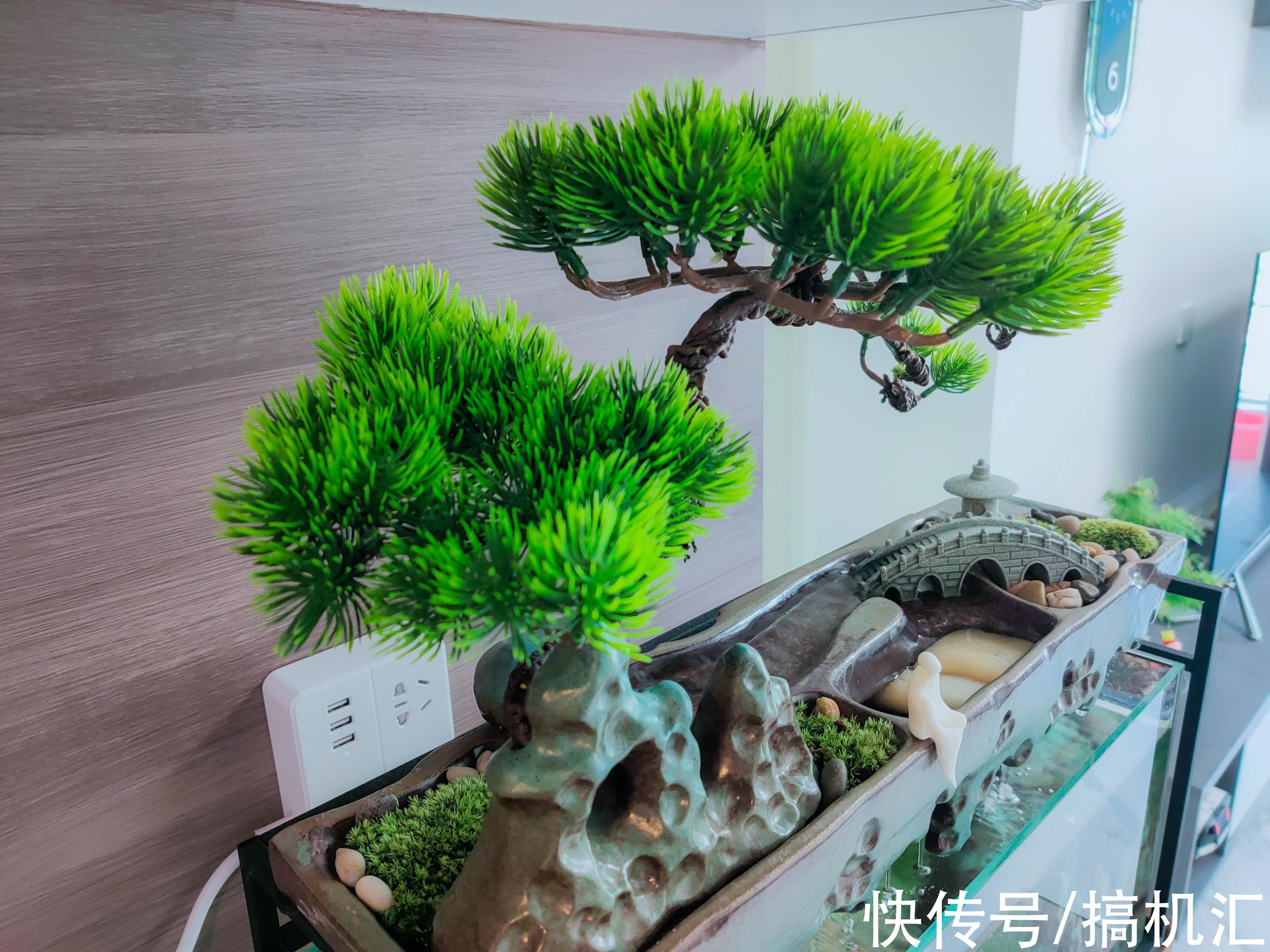 天空之城+流水造型,MOMOYOO水光山色鱼缸体验:萌新养鱼记