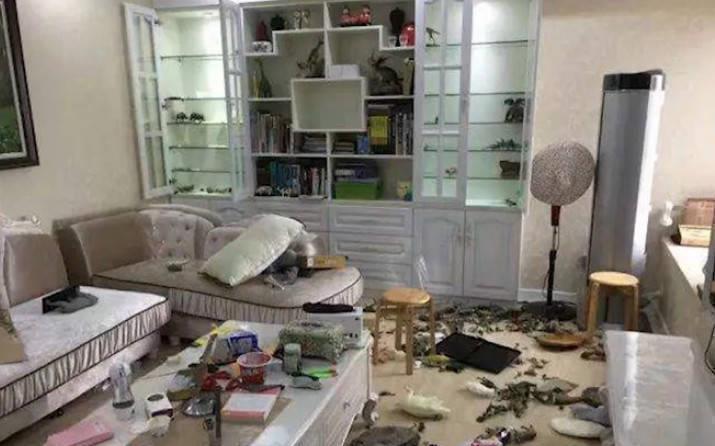 漫展|漫展現等比例真人手辦，卻被熊孩子打碎，網友估計要傾家蕩產了