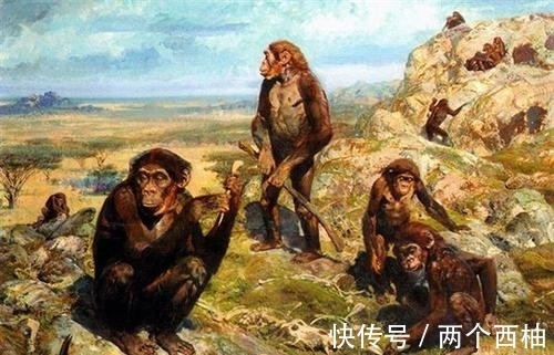 奇石|渔民捡到奇石,镶嵌2.5亿年前“芯片”,史前真的存在高等文明?