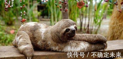 知识|10条超级有趣的冷知识，喝水太多会中毒！
