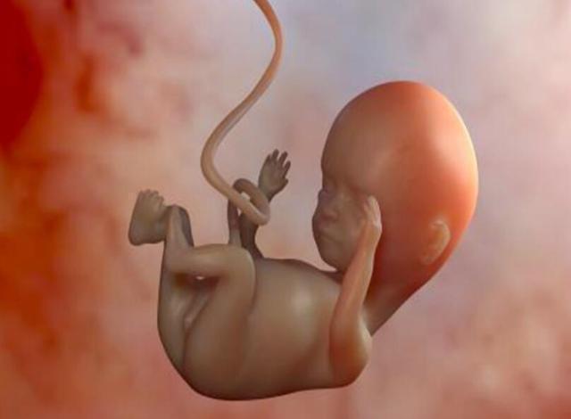 分娩|这两个月是胎儿发育猛涨期,孕妇“三做两不做”,胎儿聪明又健康