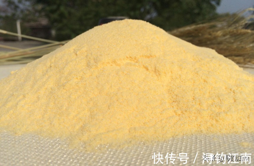 妙用|廉价的自制饵料，竟是大鱼克星？“玉米面饵”的妙用很少有人知道