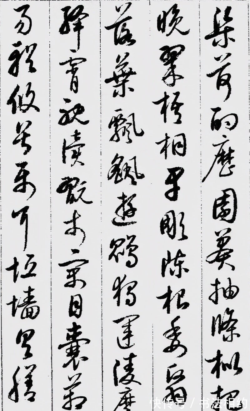 非常了得&难得一见!启功的草书“草而不狂”,稳重而大气,颠覆我们的认识