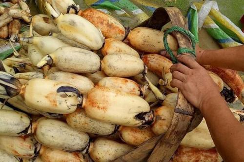 做凉拌莲藕焯水时多加一个料,莲藕不发黑,片片白净,更加脆爽