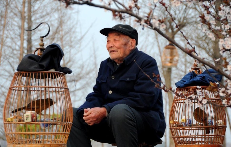 老朋友|75岁的老大爷坦言学会独处,才是老年人长寿之道