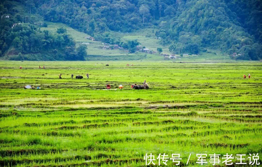 宿新市徐公店#杨万里最经典的10首诗词,映日荷花,午梦扁舟,读一次治愈一次