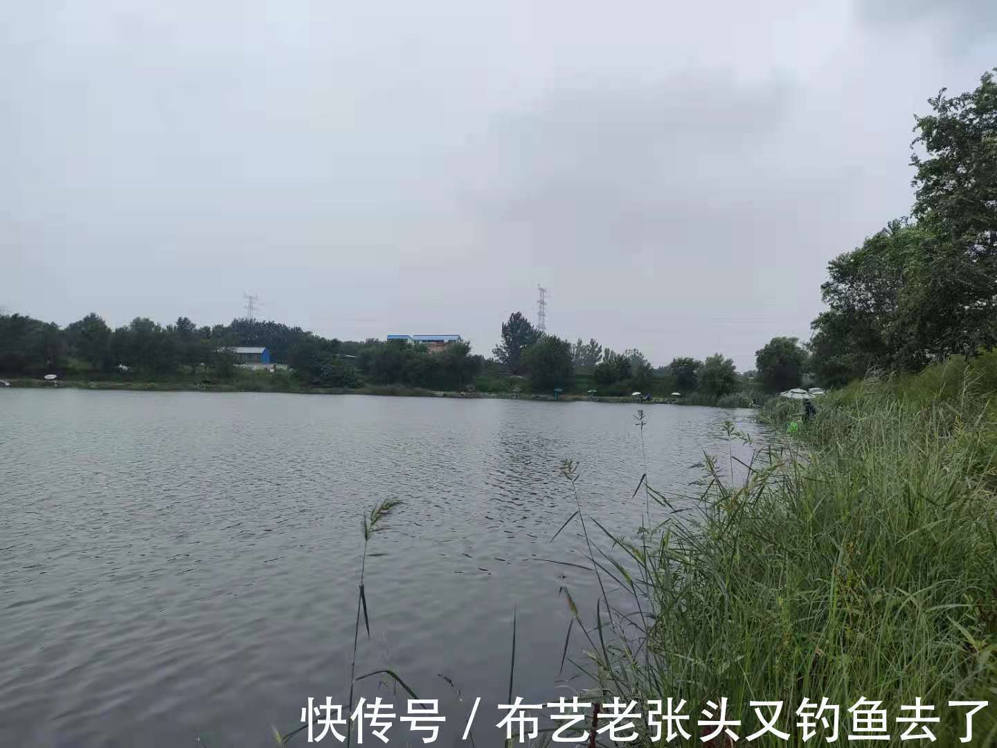 鱼友|夏天气温高,鱼不开口怎么办?那么这个小药能帮你解决