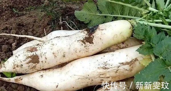 膳食纤维|这个东西要连皮吃，大病小病都不怕，最便宜的才几元一斤