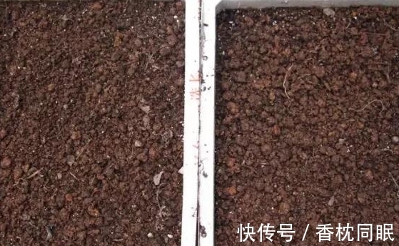 遍寻不到“酸性土”的情况下,该怎么让养花土从碱性变酸性?