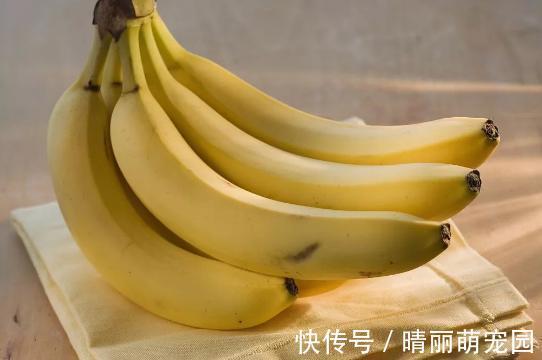 香蕉皮养花,用法可真多,泡水、混土、晒干当肥,还能擦叶子