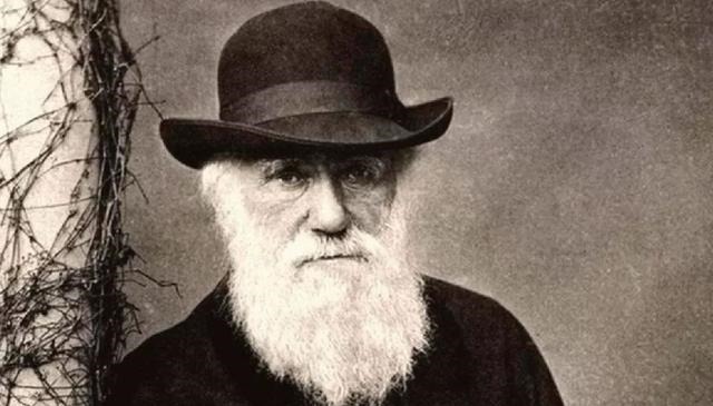 陶行知|孩子有这3个“怪癖”,暗示他智商会很高,妈妈别逼着孩子改