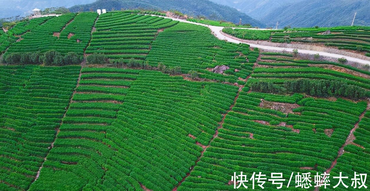 情趣|台州藏了一个自驾休闲胜地，自然情趣十足，适合度假品茗